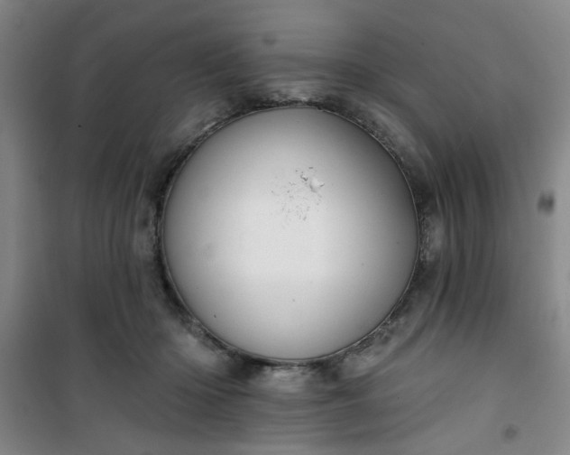 X0000101140414200807110947