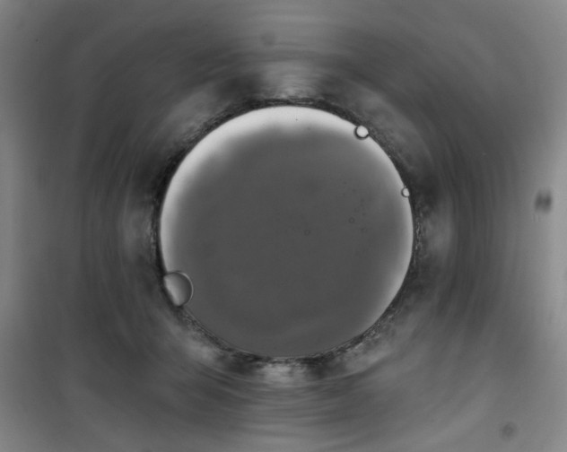 X0000101140415200807110947