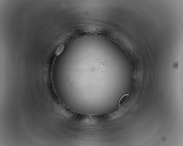 X0000101140416200807110947