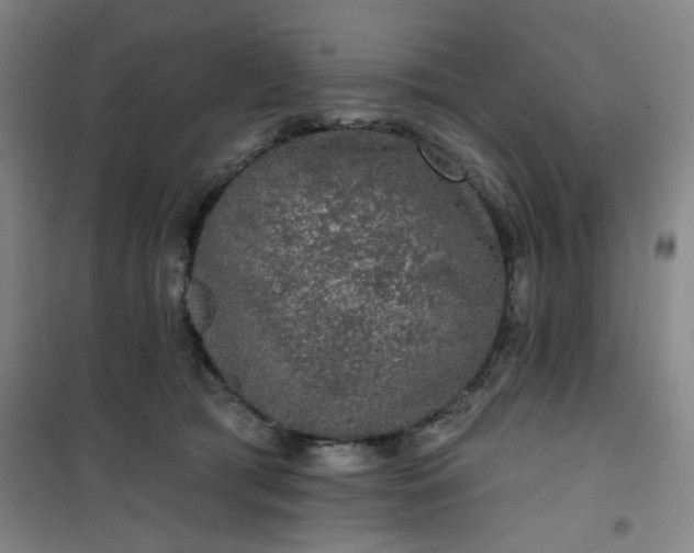 X0000101140417200807110947