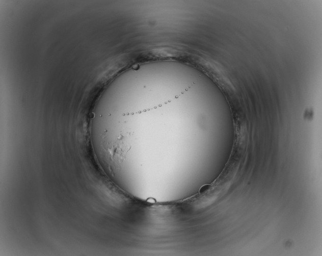 X0000101140418200807110947