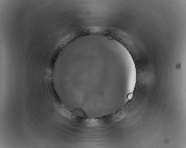 X0000101140419200807110947