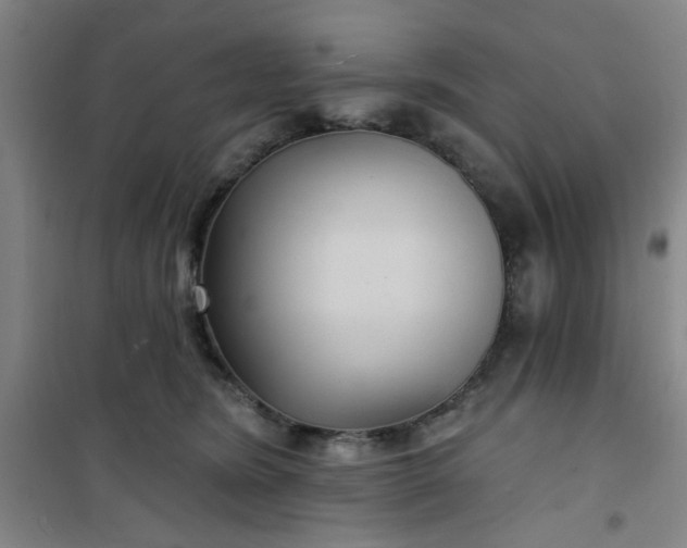 X0000101140420200807110947