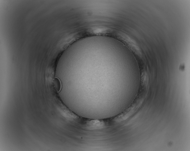 X0000101140421200807110947