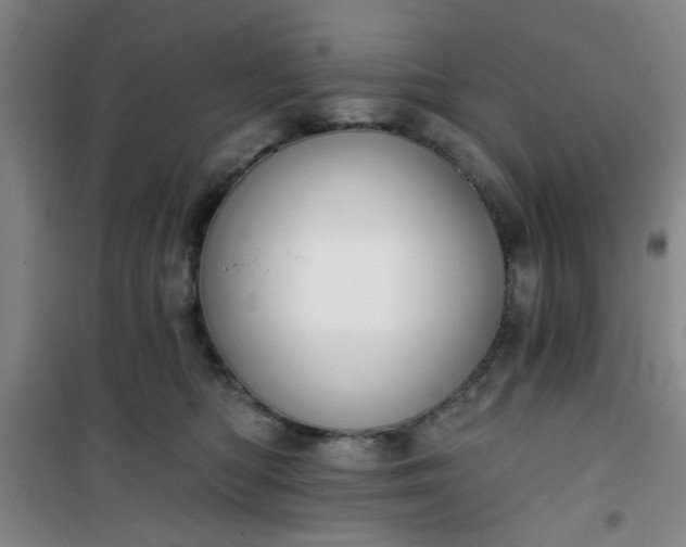 X0000101140422200807110947