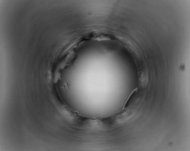 X0000101140424200807110947