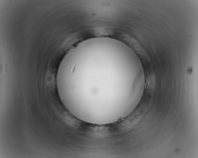 X0000101140426200807110947