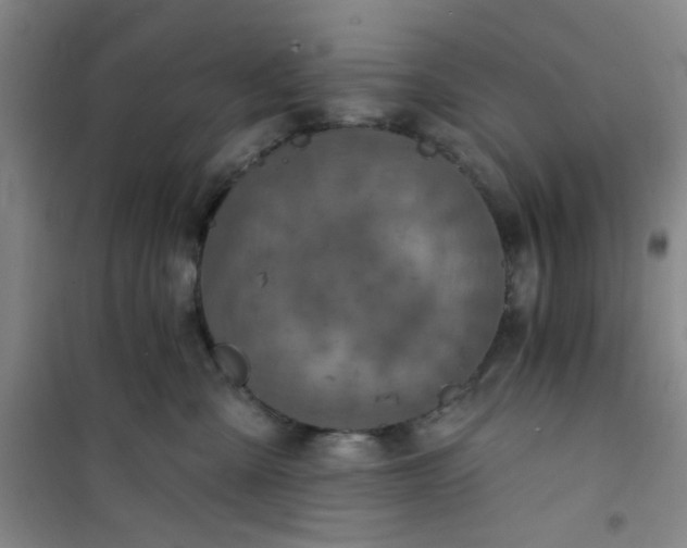 X0000101140427200807110947