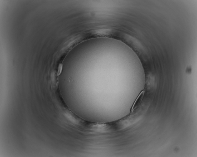 X0000101140428200807110947