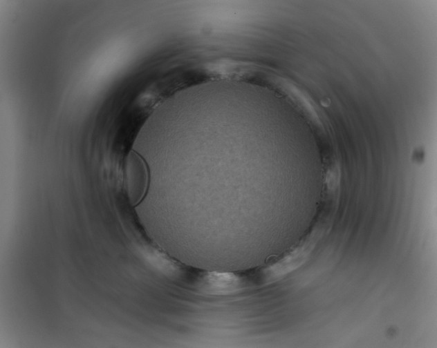 X0000101140429200807110947