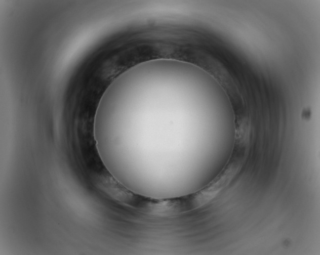 X0000101140430200807110947