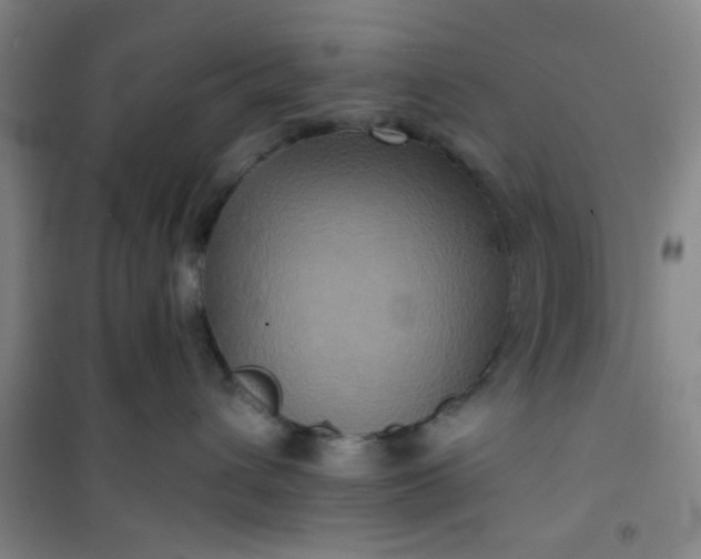 X0000101140432200807110947