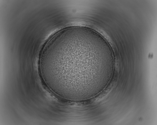 X0000101140434200807110946