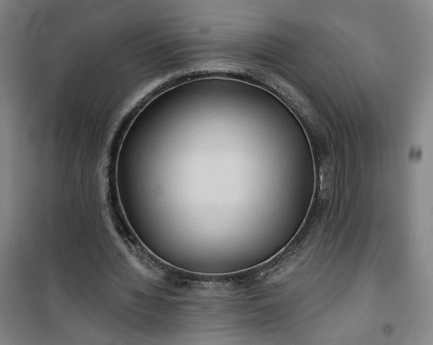 X0000101140436200807110946