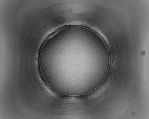 X0000101140437200807110946