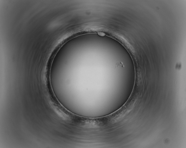 X0000101140439200807110946