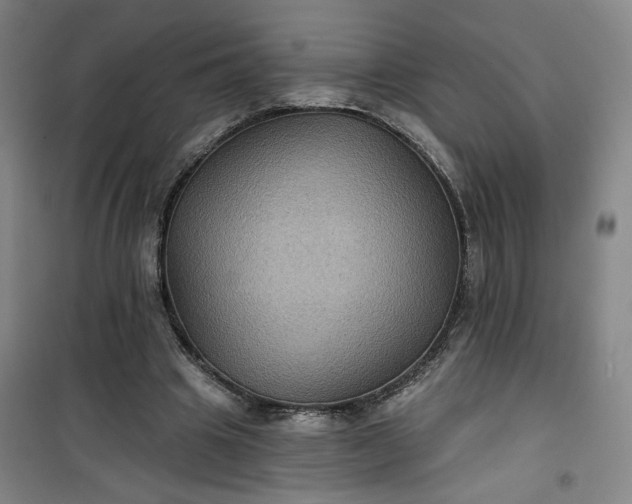 X0000101140441200807110946