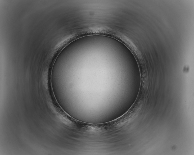 X0000101140442200807110946