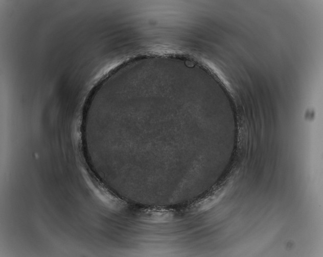 X0000101140443200807110946