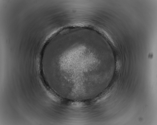 X0000101140444200807110946