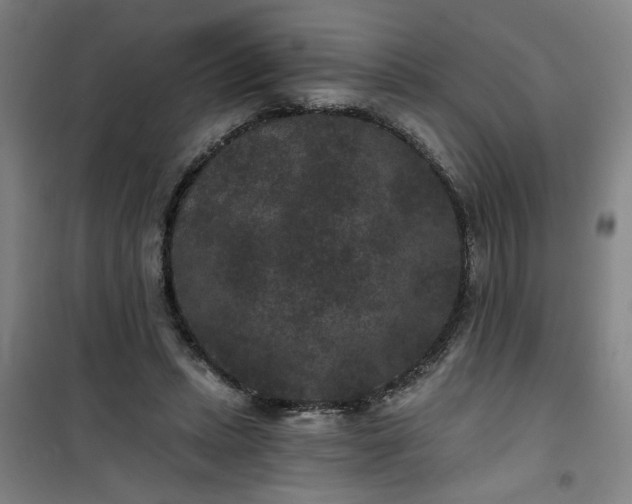 X0000101140447200807110946