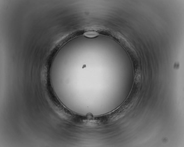 X0000101140448200807110946