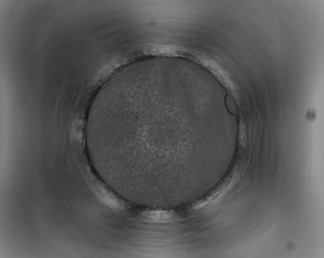 X0000101140449200807110946