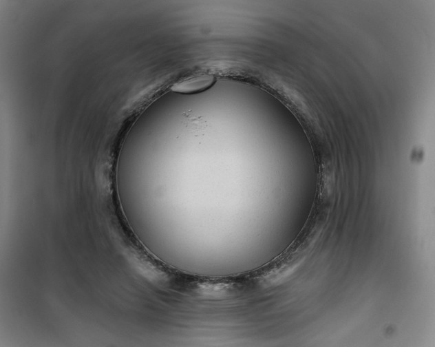 X0000101140450200807110946