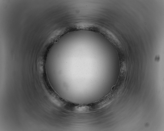 X0000101140452200807110946