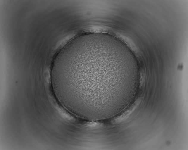 X0000101140453200807110947