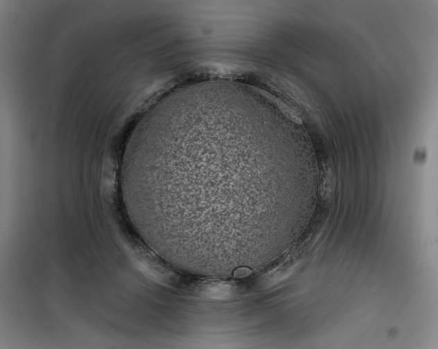 X0000101140456200807110947