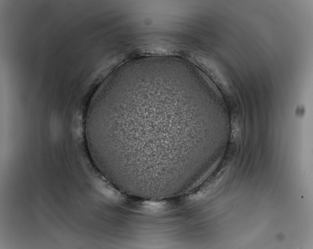 X0000101140457200807110947