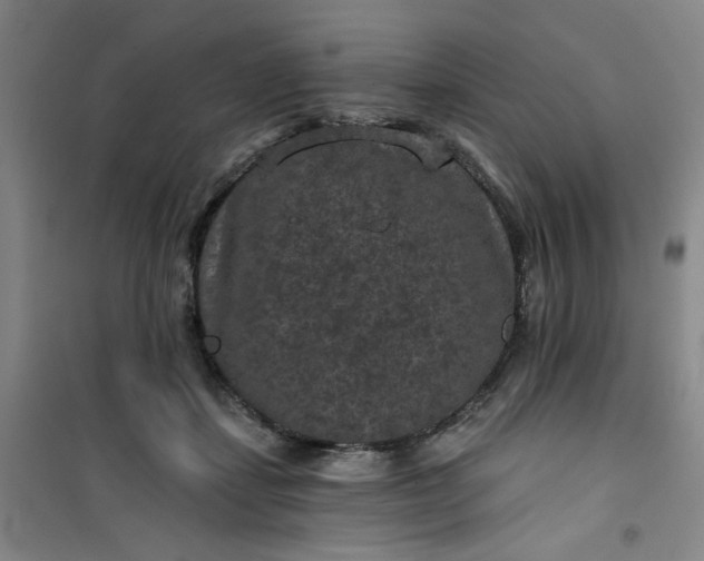 X0000101140459200807110947