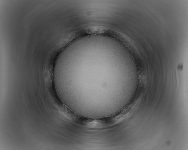 X0000101140460200807110947