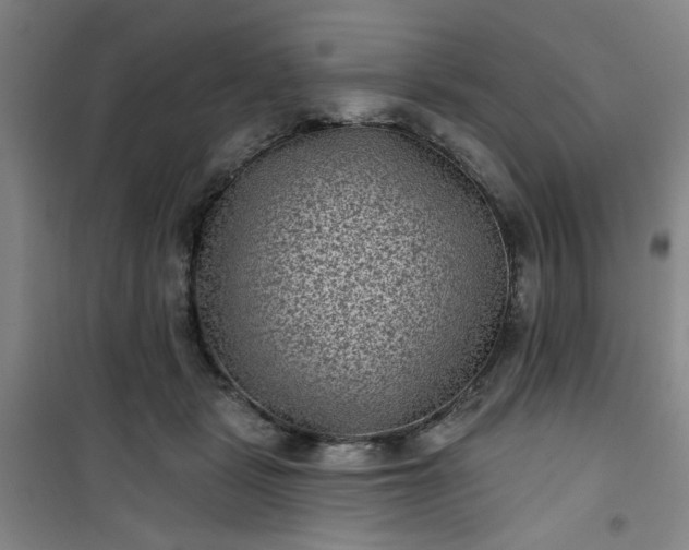 X0000101140461200807110947