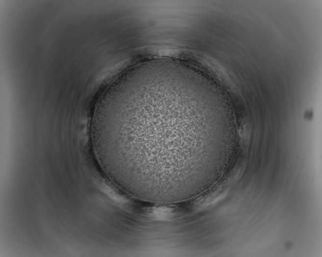 X0000101140462200807110947