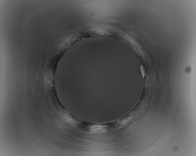 X0000101140465200807110947