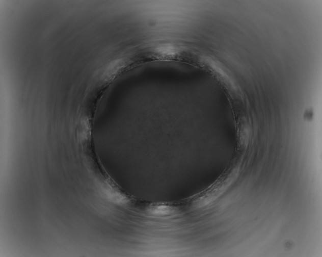 X0000101140467200807110947