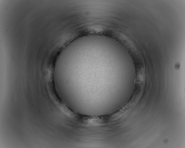 X0000101140468200807110947