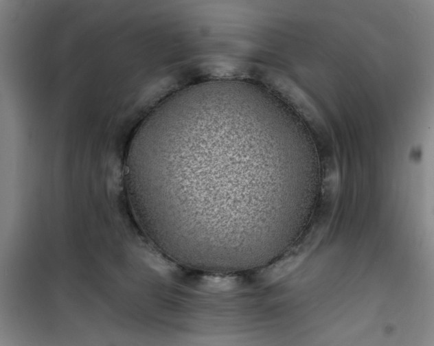 X0000101140469200807110947