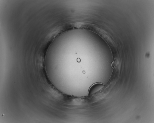 X0000101140470200807110947