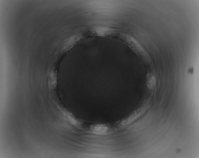 X0000101140471200807110947