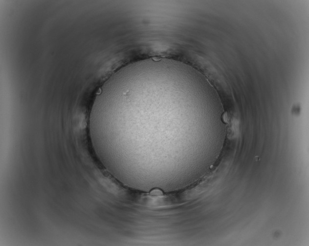 X0000101140472200807110947