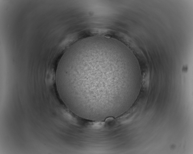 X0000101140474200807110947