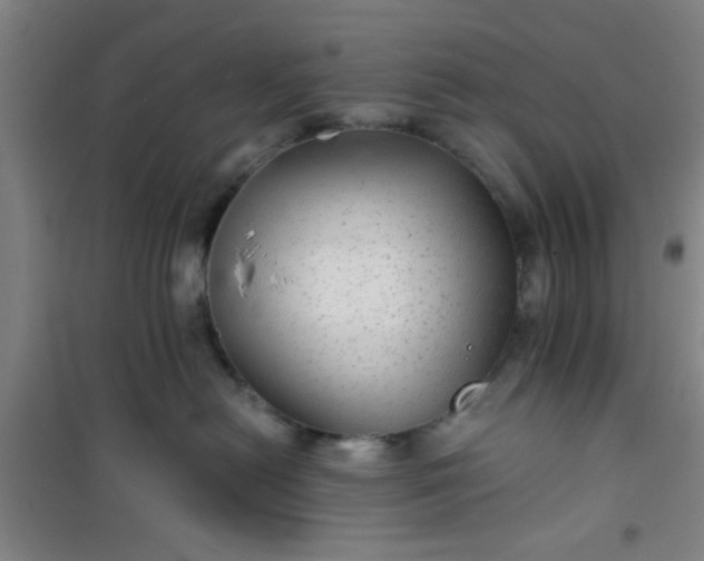 X0000101140478200807110947