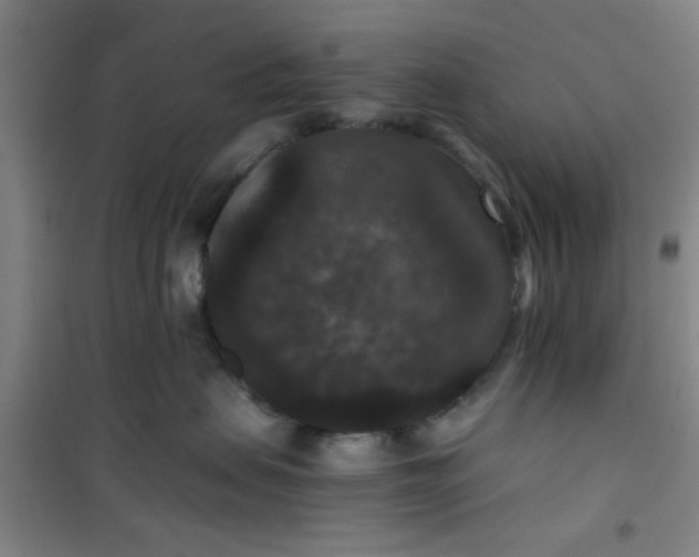 X0000101140479200807110947