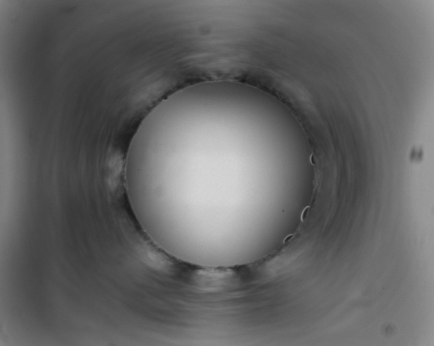 X0000101140480200807110947