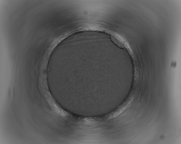 X0000101140481200807110946