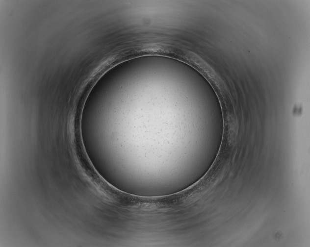 X0000101140482200807110946