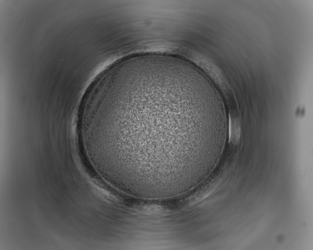 X0000101140483200807110946